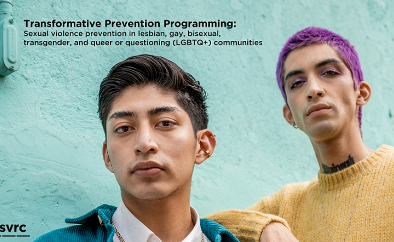 Transformative Prevention Programming