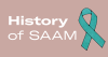 History of SAAM