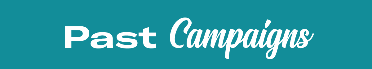 Past Campaigns